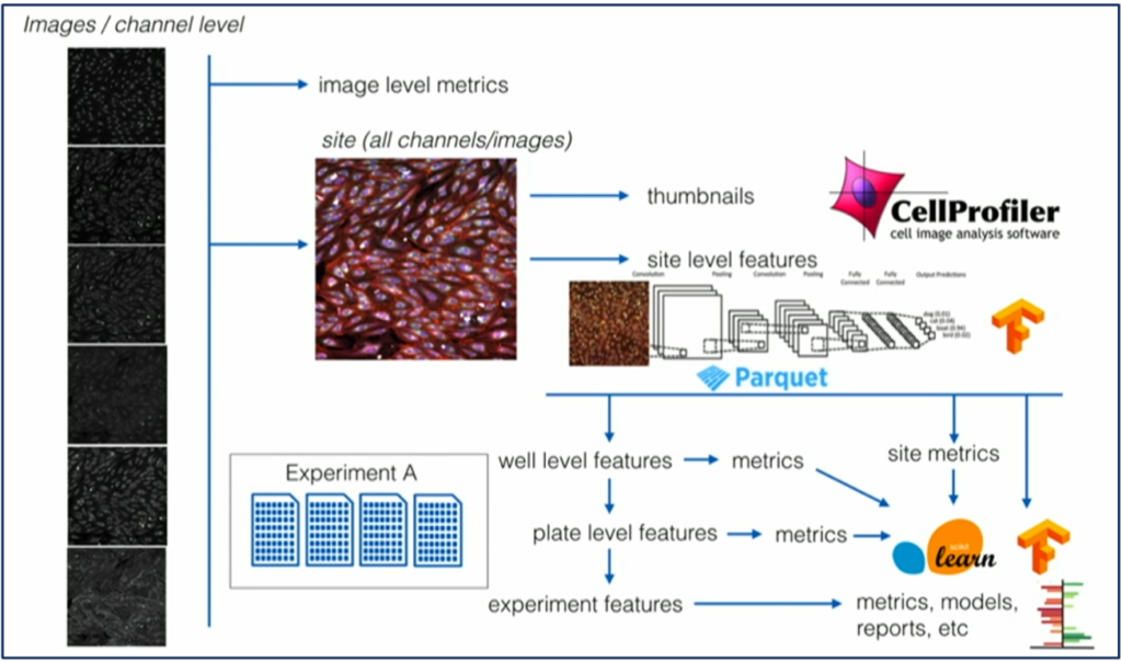 Apache Kafka and Machine Learning at Recursion for Drug Discovery in Pharma